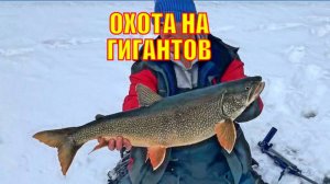 ОХОТА НА ГИГАНТОВ