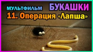 | Мультфильм | БУКАШКИ | 11. Операция «Лапша» |