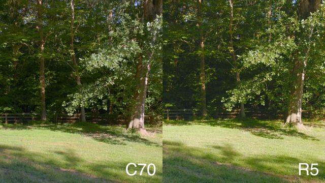 CANON C70 vs R5 - AUTOFOCUS