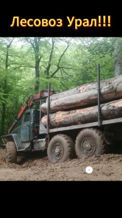 Урал лесовоз спуск по бездорожью.