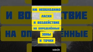 Как можно легко возбудить девушку на секс?