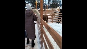 ПАРК АЛЬПАК В КАЗАНИ