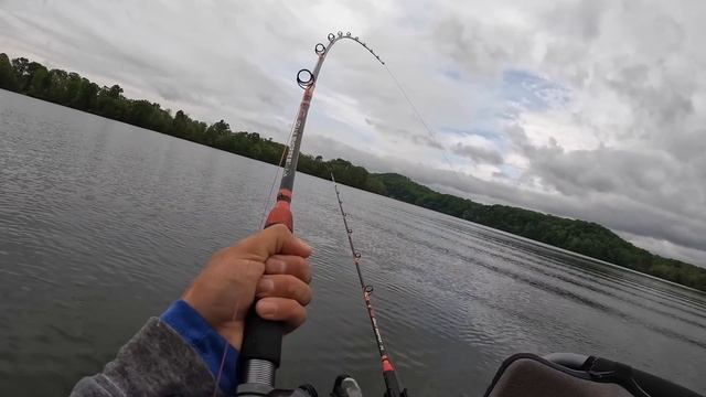Catfishing for Money - Chickamauga Reservoir смотреть онлайн