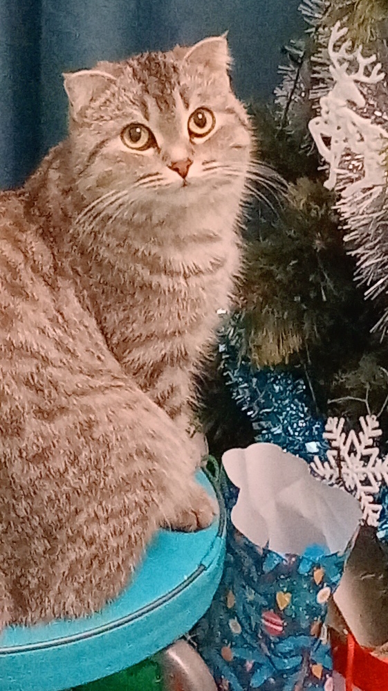 ❤️😻Любви вам 😻❤️