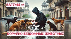 Как живут уличные животные в непогоду? Кормлю бездомных животных в городе собак - Батуми