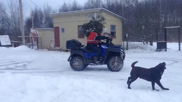 Момент вечности