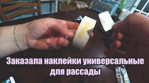 Обзор покупок с маркетплейсов: футболки, семена моркови и земляники, пульки, трусы, наклейки