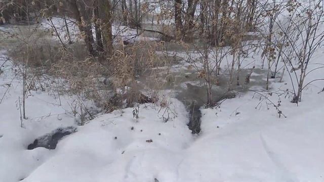 Сказочная мелодия! смотреть онлайн