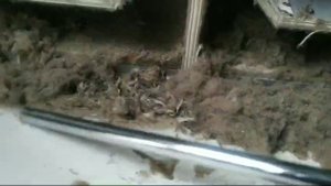 ну очень грязная подушка. 😷🎥