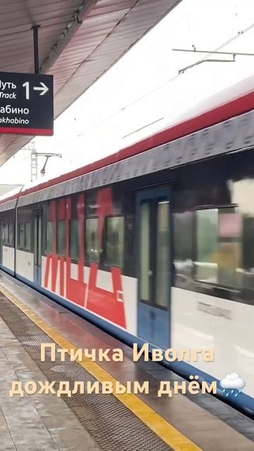 Поезд «Иволга 3.0» на станции «Волоколамская» МЦД-2 #метромосквы #иволга #мцд смотреть онлайн