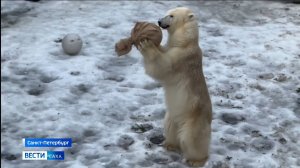 21:10 ВЕСТИ САХА 21/01/25 НА РУССКОМ ЯЗЫКЕ