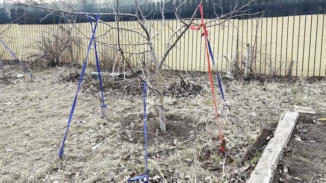 Даже если в жизни - жопонька... Надо
найти на нее красивые кружевные 
труселя