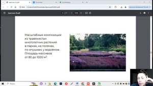 Цветник. Клумба. Виды цветников.