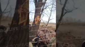 Наш боец убедил пять боевиков ВСУ сложить оружие