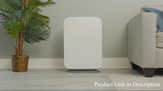 Air Purifier смотреть онлайн