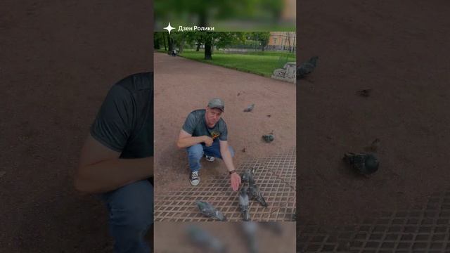 Питер 2024 смотреть онлайн