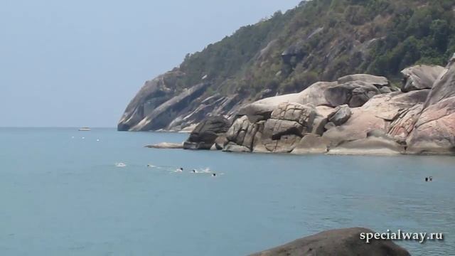 Как ребята покоряли остров Панган смотреть онлайн