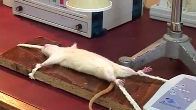 «Акватон» — антистрессорное воздействие смотреть онлайн