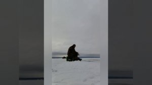 Рыбалка 2025 год Самарская область