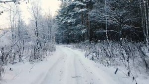6157256-hd_1920_1080_30fps
