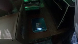 Определил пол перепелов , взвесил.