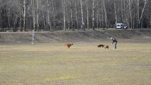 Весна