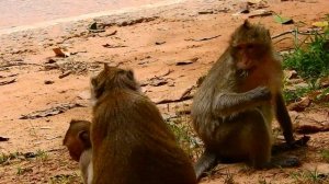 Around Convulsive !!! heart-breaking cos Janet get seriously injure on body, Baby cry for mum help