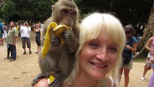 Наглая обезьянка