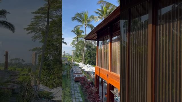 Kappa Senses Ubud。2022.11 смотреть онлайн