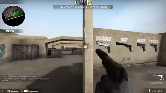 CS GO №1 ЦАРЬ VS СОЛЬ смотреть онлайн