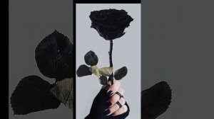 Песня- а ты давай ломай давай 🖤
