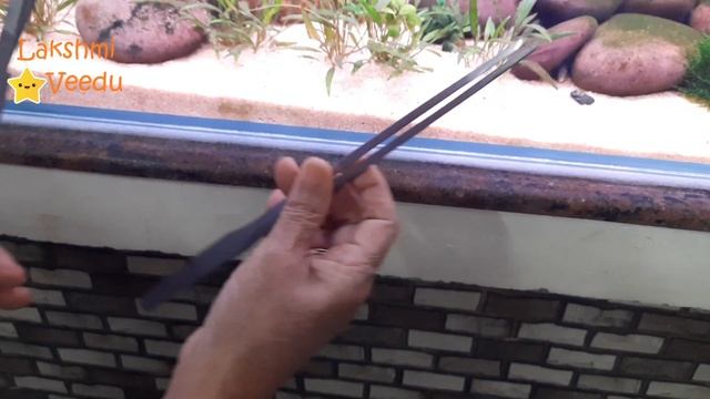 Aquascape Setup Cost and Specifications in Tamil  |  எங்க வீட்டு fish tank part 2