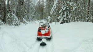 Первая проверка капканов на куницу в 2025 году.