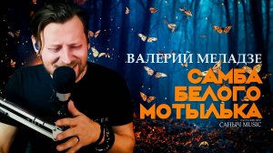 Валерий Меладзе - Самба белого мотылька (Cover by Саныч Music)