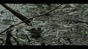 Озеро на булыгино город Барнаул