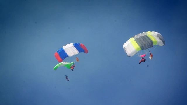 Сбережение лесных ресурсов России