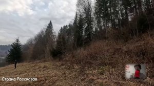 -Поживёт недельку сама, потом как шелковая будет! Но вернувшись через неделю, замер...