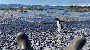 6299731-hd_1920_1080_30fps