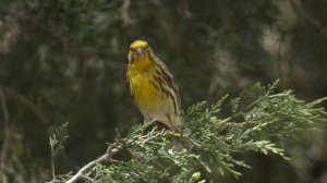 11905890_3840_2160_24fps