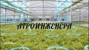 Средняя школа 137 Агроинженер