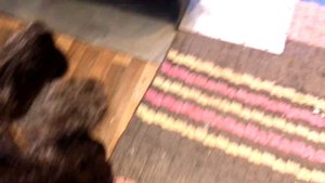 ВЫРУБИЛИ свет и все ЗАМЕРЗЛО ! diy КОСЯКИ )БАССЕЙН зимой СНЕГ МЕТЕЛЬ ЛОМАЕТ ПЛАНЫ(ВЛОГ !!)