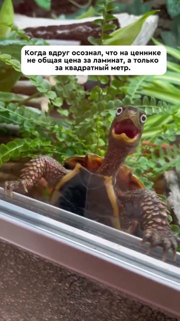 Было? смотреть онлайн