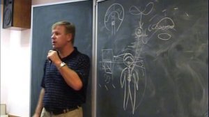 Тайна мозга человека. Суть грехопадения. Луценко Юрий Николаевич.