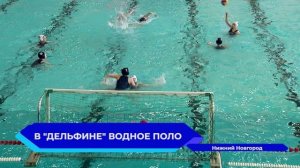 В бассейне «Дельфин» стартовали матчи Первенства России по водному поло среди девушек до 15 лет