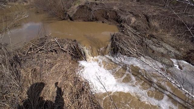 Прорыв плотины у бобров смотреть онлайн