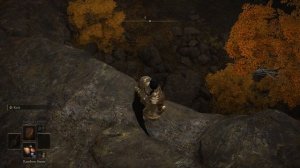 Две ключевые функции радужных камней. Elden Ring