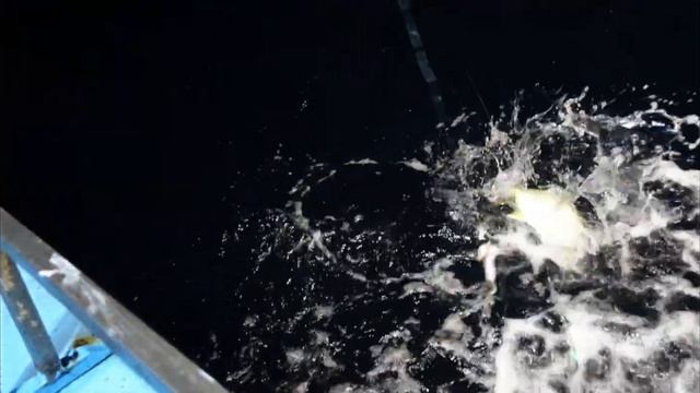 MANCING TANPA BATAS USIA | BERSAMA OM JULIUS DENGAN KM SINGA LAUT | 12 S/D 14 NOPEMBER 2021 ||||||| смотреть онлайн