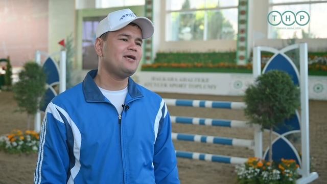 Элегантность в движении: Ахалтекинцы на соревнованиях по конкуру смотреть онлайн