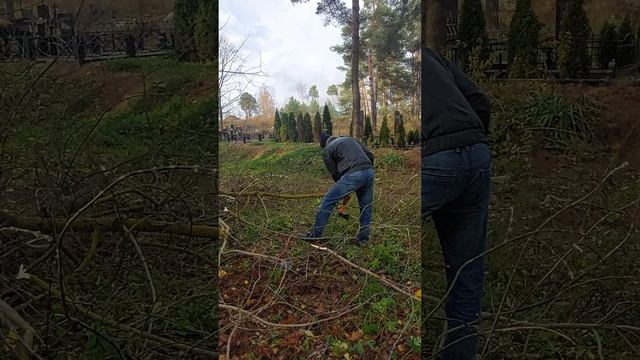 Уборка спила дерева на кладбище Белая Станция.