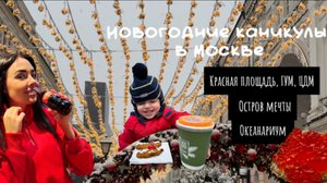 Новогодние каникулы в Москве, с детьми. Зима в Москве. Новый год в Москве. В Москву на машине.